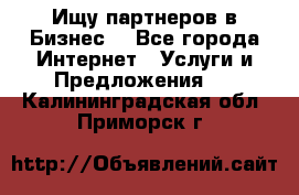 Ищу партнеров в Бизнес  - Все города Интернет » Услуги и Предложения   . Калининградская обл.,Приморск г.